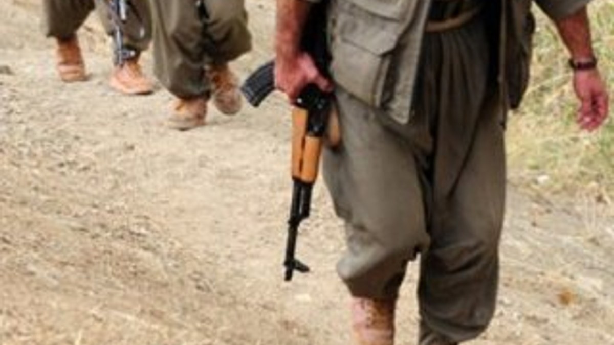 Şanlıurfa'da 1 PKK'lı yakalandı