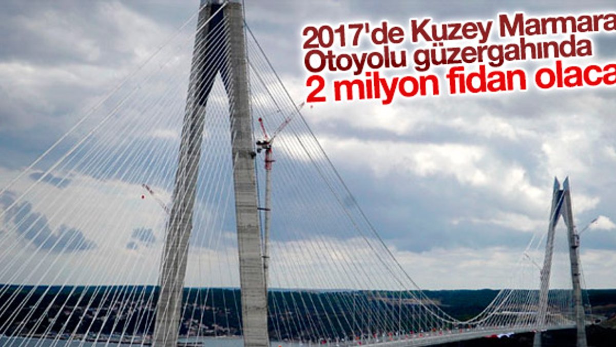 Kuzey Marmara Otoyolu güzergahına 604 bin fidan dikilecek