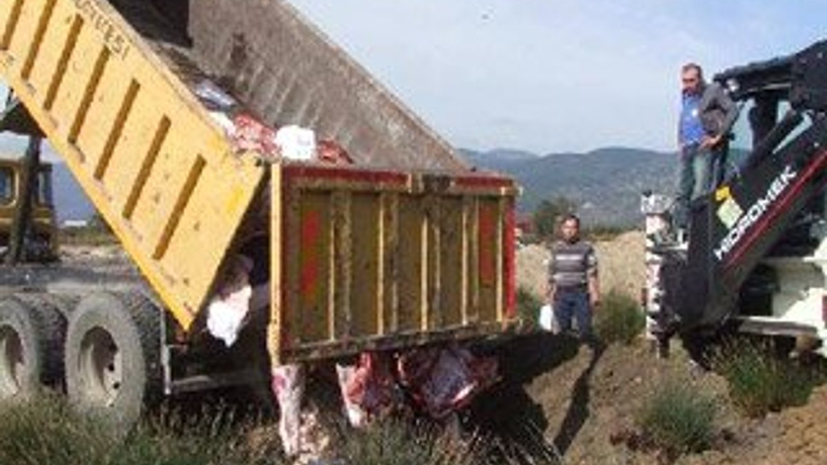 Sakarya'da 400 kilo bozuk et imha edildi