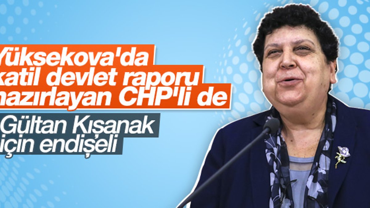 CHP'li Şenal Sarıhan'dan Diyarbakır'da yaşananlara tepki