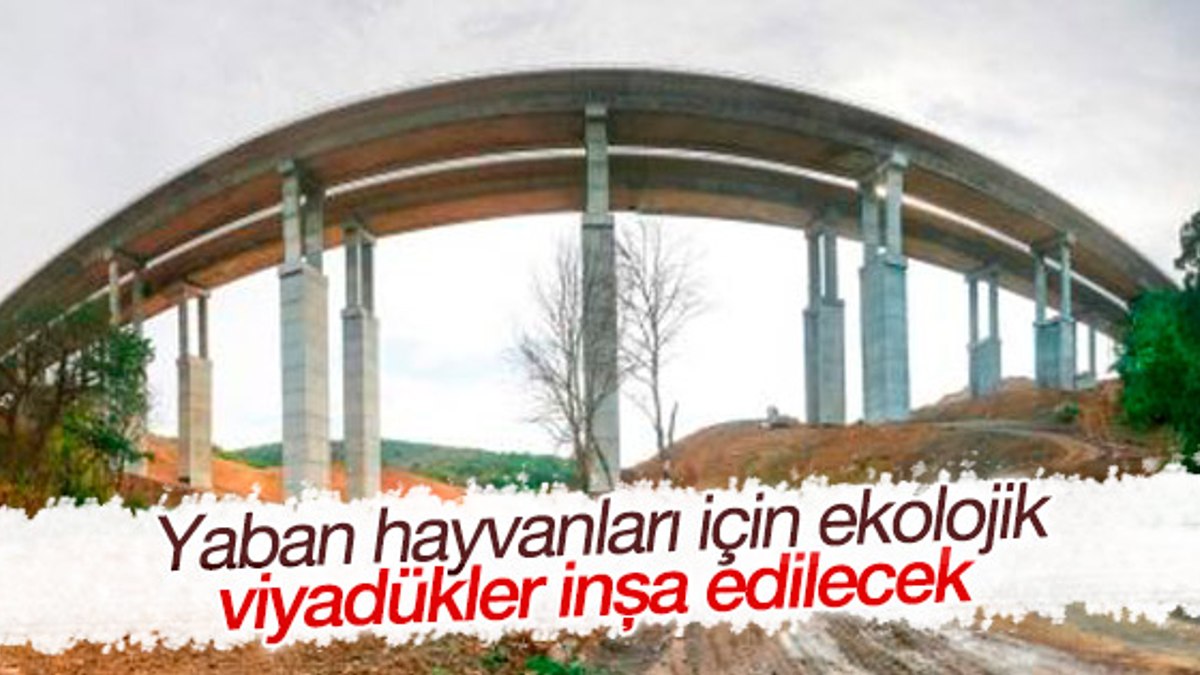Kuzey Marmara Çevre Yolu'na ekolojik viyadükler yapılacak