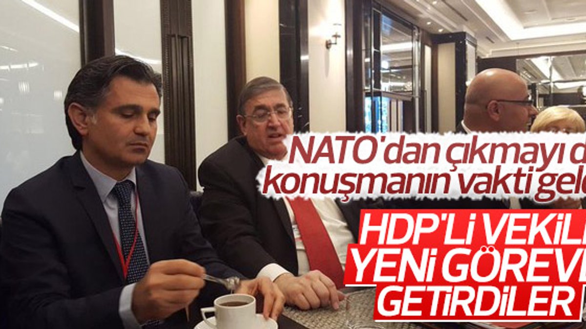 HDP’li Ziya Pir'e NATO'da görev