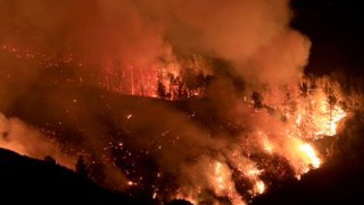 ABD'de orman yangını: 3 ölü
