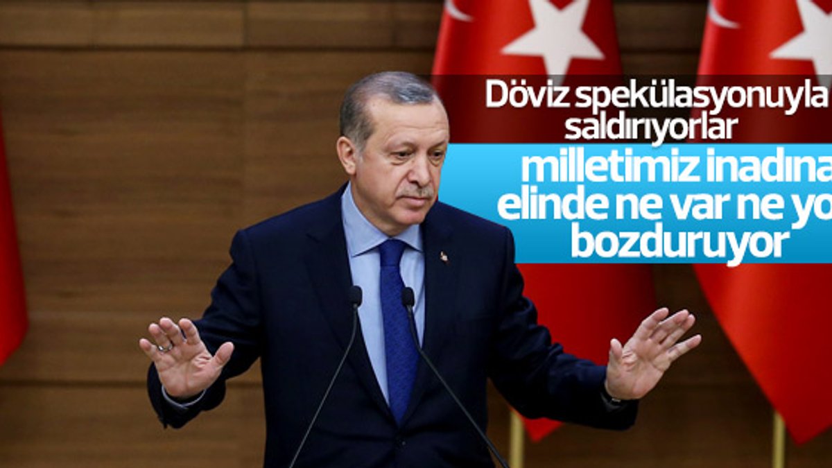 Cumhurbaşkanı Erdoğan'ın döviz çağrısı karşılık buldu