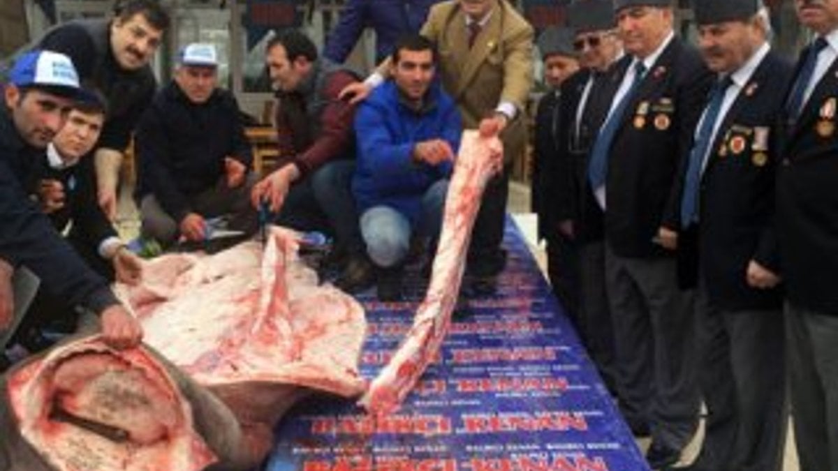 Yakaladıkları köpekbalığının etini vatandaşa dağıttı