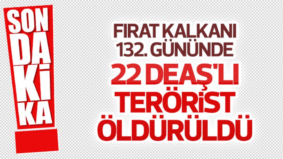 TSK: 22 DEAŞ'lı terörist öldürüldü