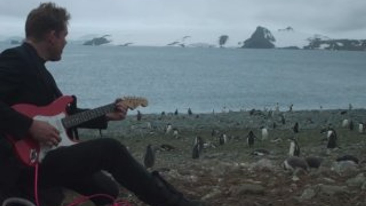 Antarktika'da penguenlerin konser keyfi