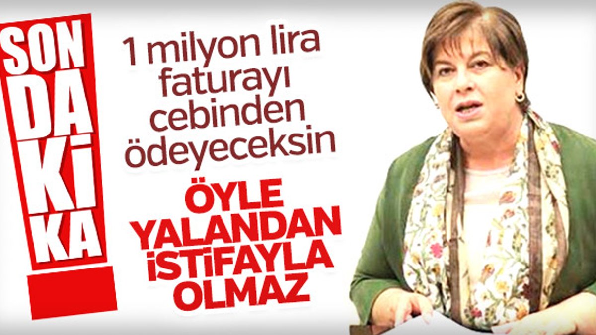 CHP'li Elif Doğan Türkmen istifa etti