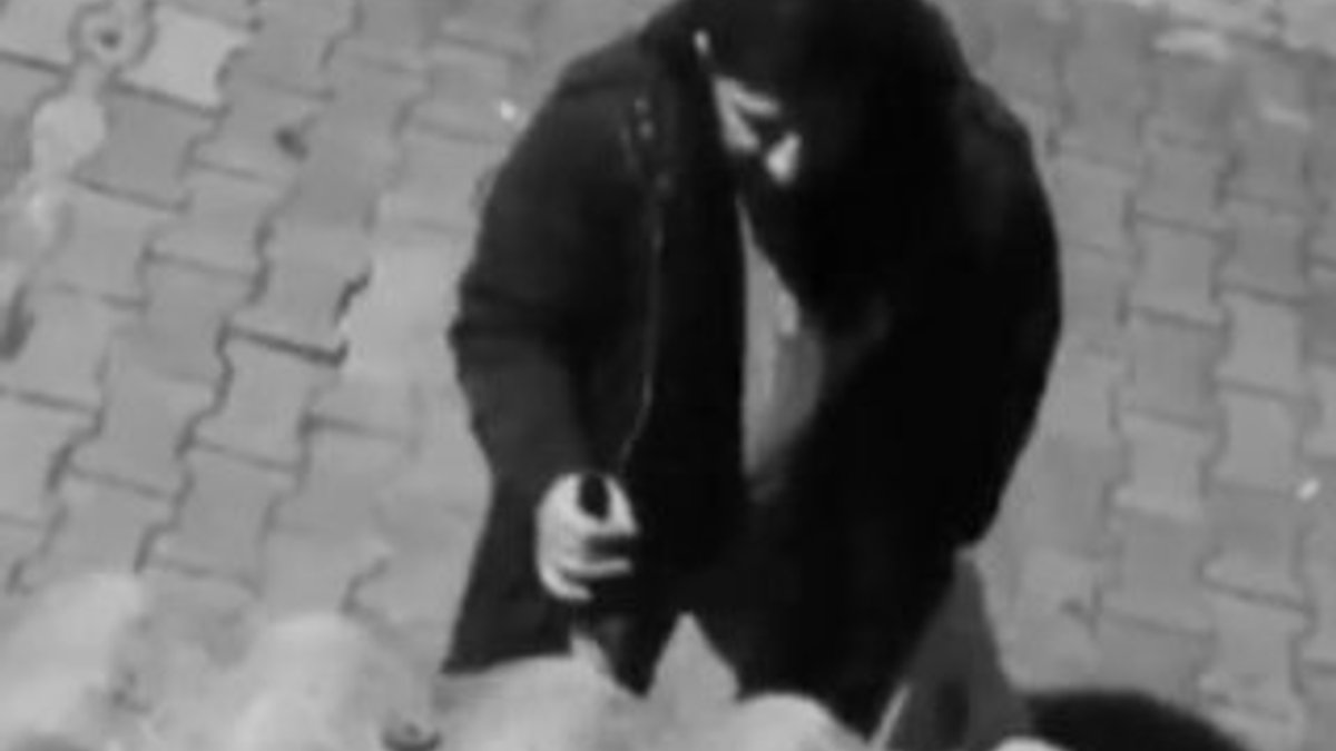 Alkollü adam sokak köpeğiyle konuştu