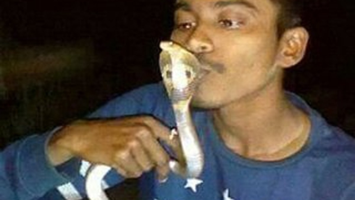 Poz vermek için öptüğü kobra hayatına mal oldu