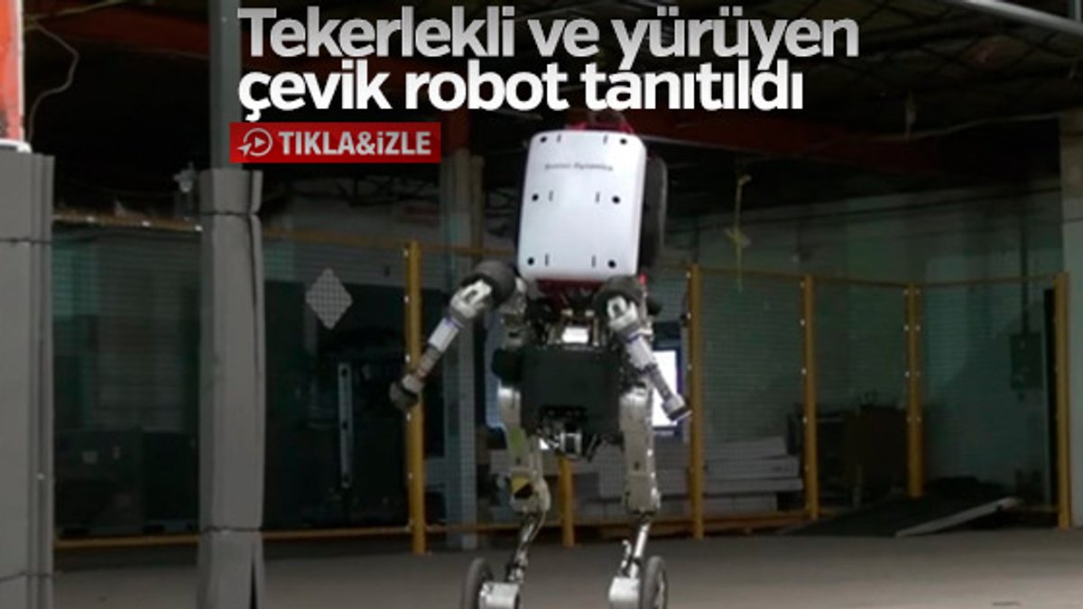 Yeni Robot ‘Handle’ tanıtıldı