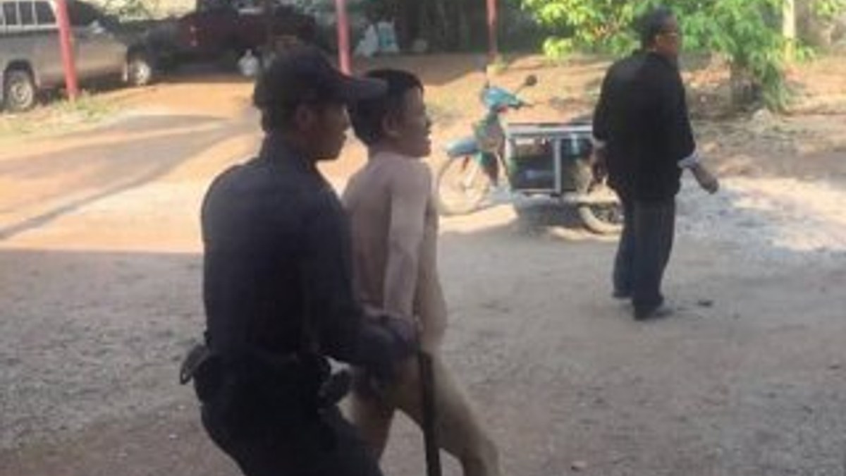 Tayland'da ineğe tecavüz girişimi