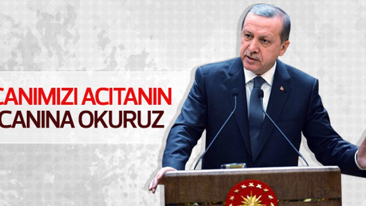 Erdoğan: Cudi'de Kandil'de yakalar vururuz