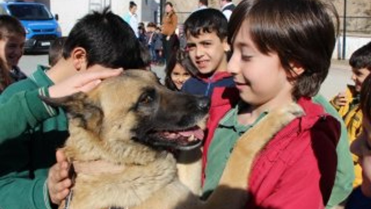Amasya'nın polis köpekleri çocukların sevgilisi oldu