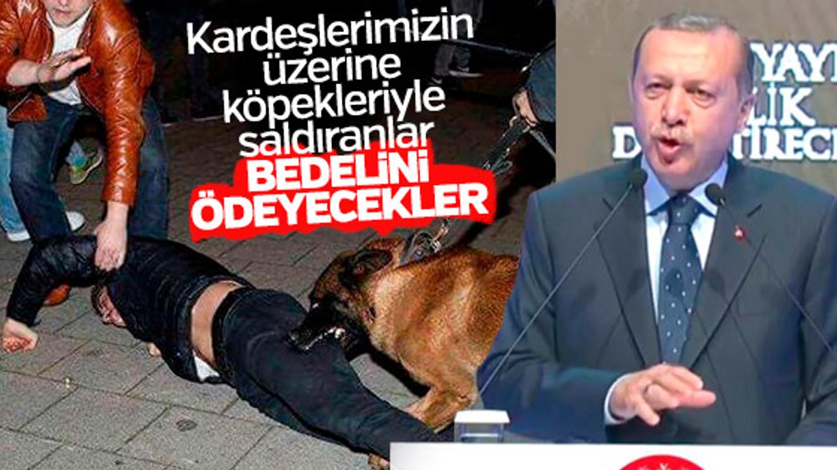 Hollanda polisinin köpekli saldırısına Erdoğan'dan tepki