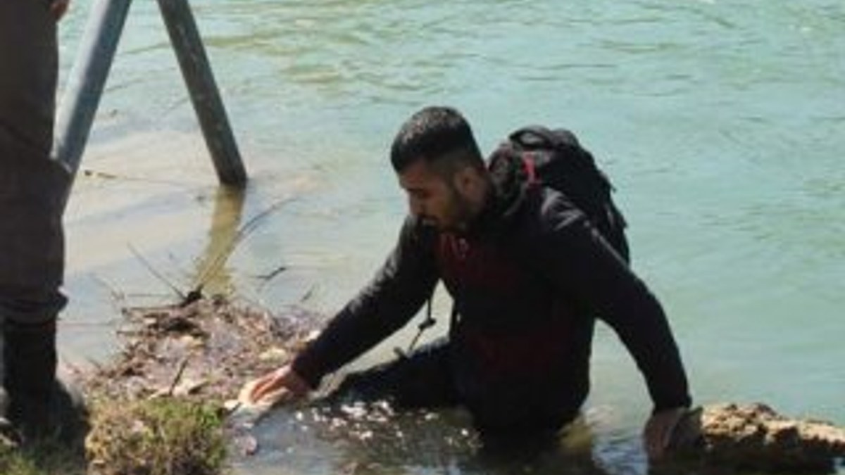 Jandarmadan yüzerek kaçmak isteyen Suriyeli pişman oldu