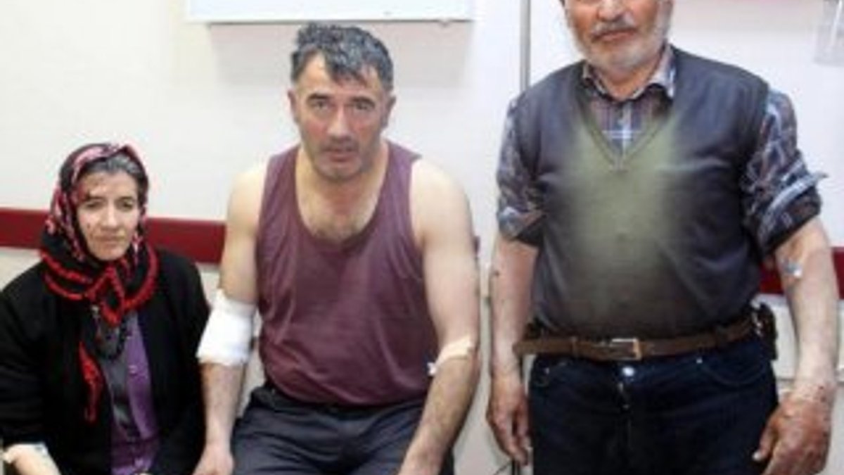 Erzurum'da aç kalan kurt köye indi: 4 yaralı