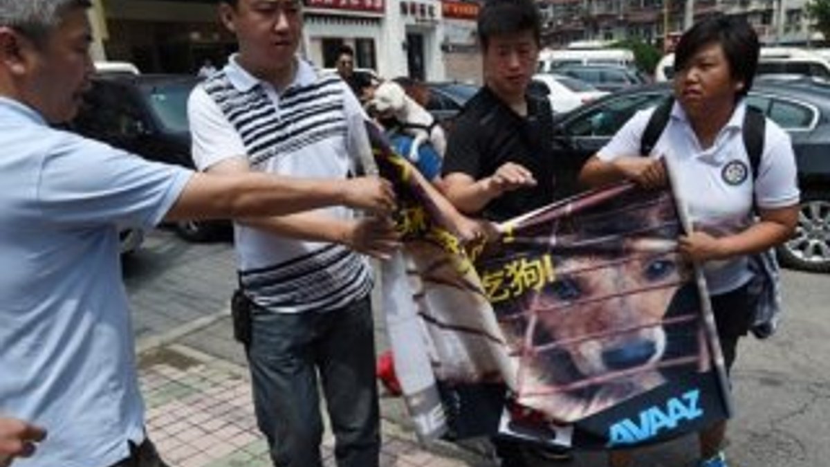 Tayvan'da kedi köpek yenmesi yasaklandı
