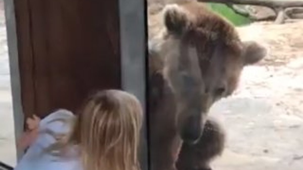 Hayvanat bahçesinde ayıyla saklambaç oynayan kız