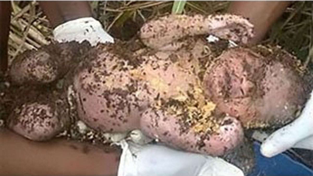 Ölüme terkedilen bebek toprak altında 3 gün geçirdi