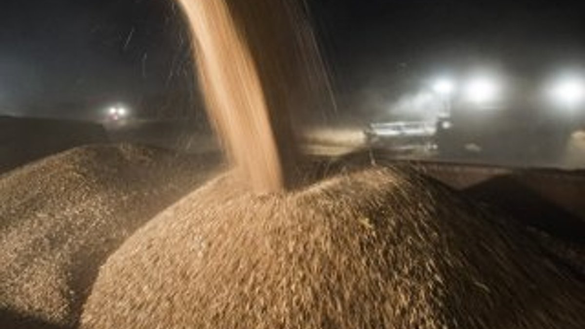 Rusya'dan buğday açıklaması