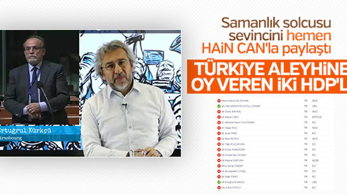 Türkiye aleyhinde oy kullanan 2 HDP'li vekil
