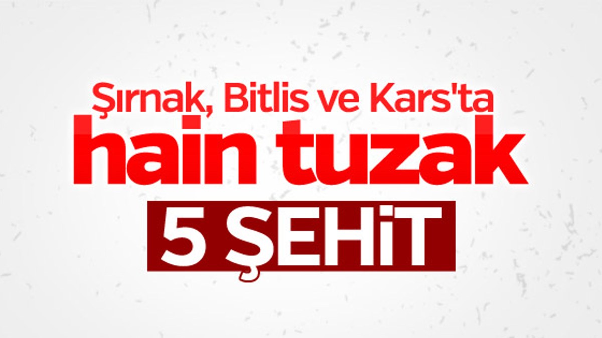 Şırnak, Bitlis ve Kars'tan acı haber: 5 şehit