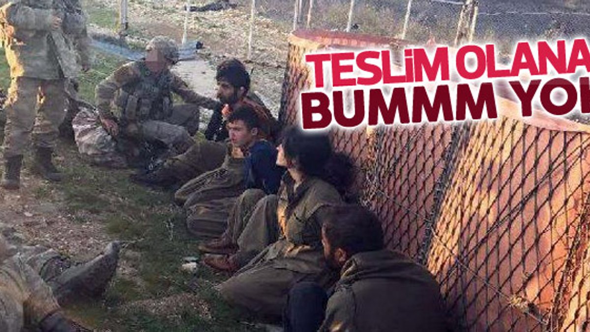 Tunceli'de 4 PKK'lı teslim oldu