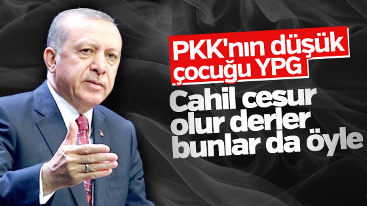 Cumhurbaşkanı Erdoğan YPG'yi hedef aldı