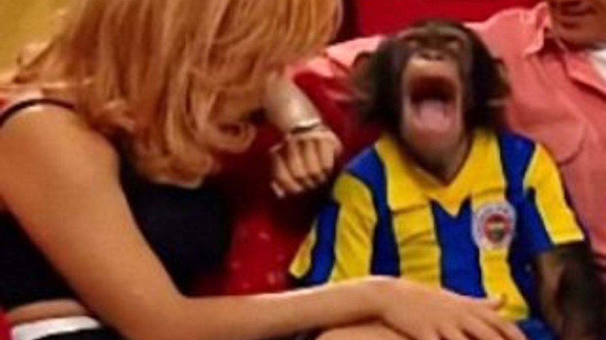 Türk dizilerinde oynayan şempanze: Çarli