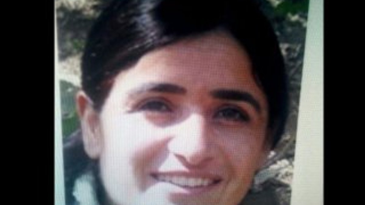 Tunceli'de 14 yıldır aranan terörist öldürüldü