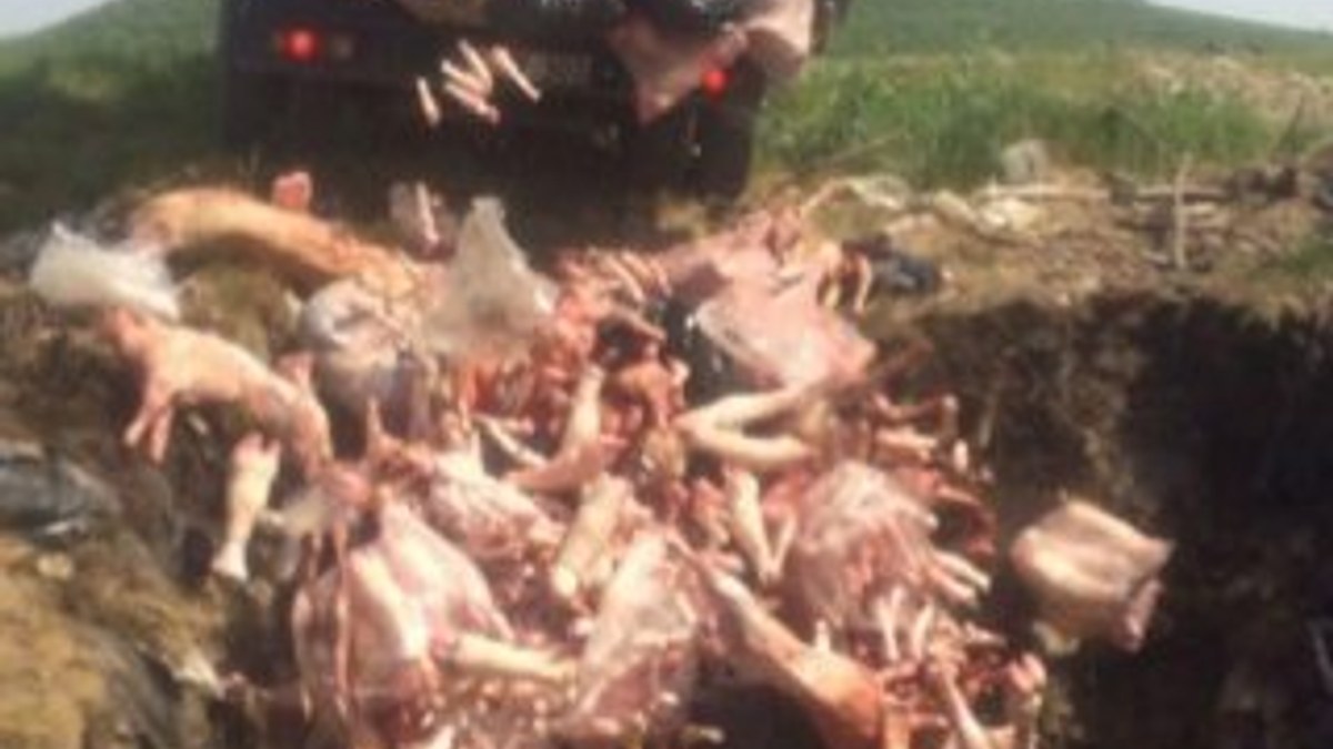 2 ton kaçak et imha edildi