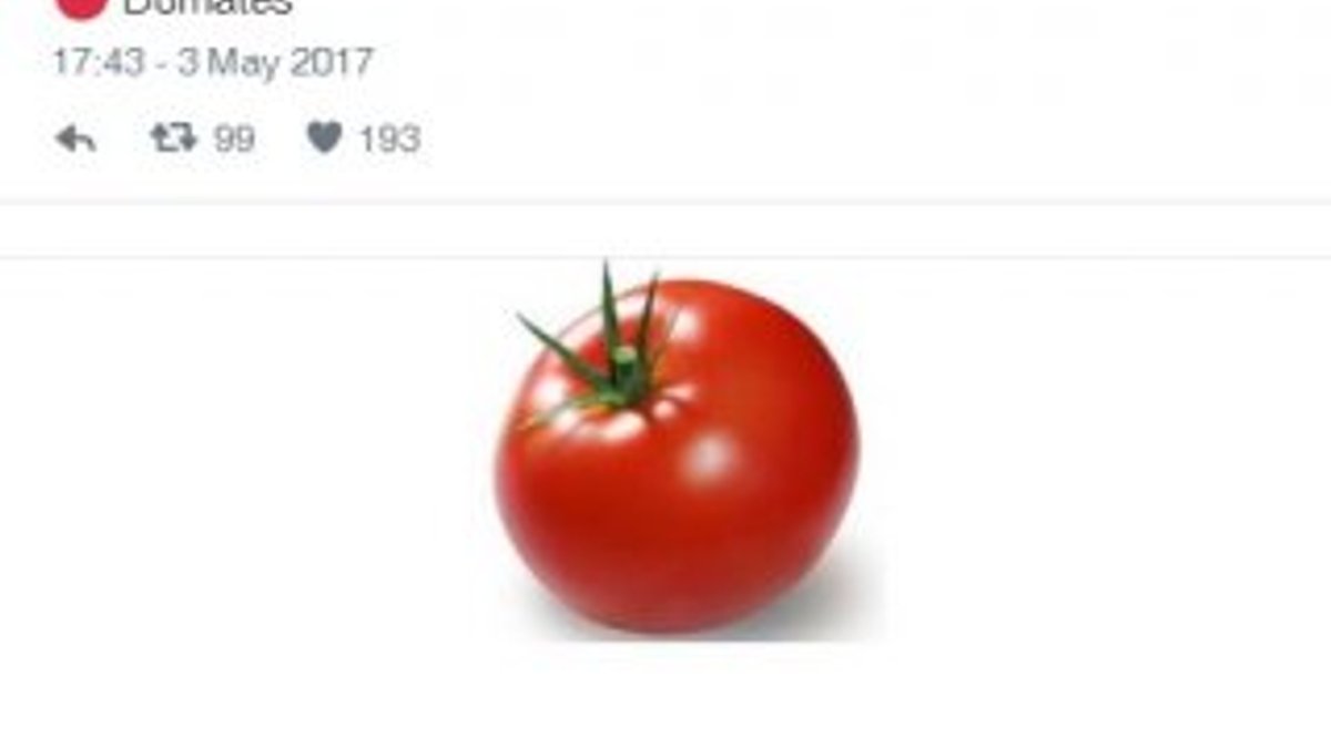 Siyasilerin domates paylaşımı