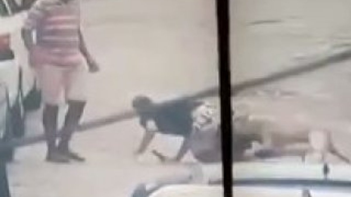 Polisten kaçan hırsızı pitbull yakaladı