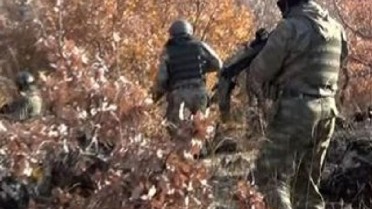 Şırnak'ta PKK'lı 2 terörist öldürüldü