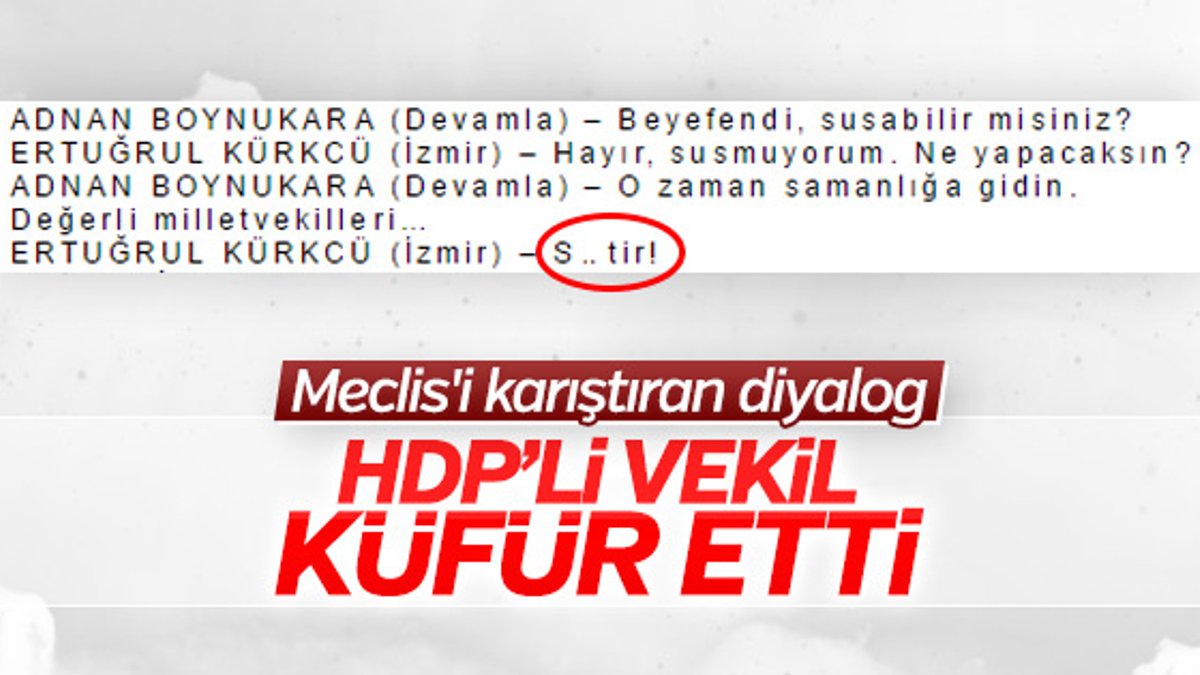 HDP'li vekilin ettiği küfür tutanaklara girdi