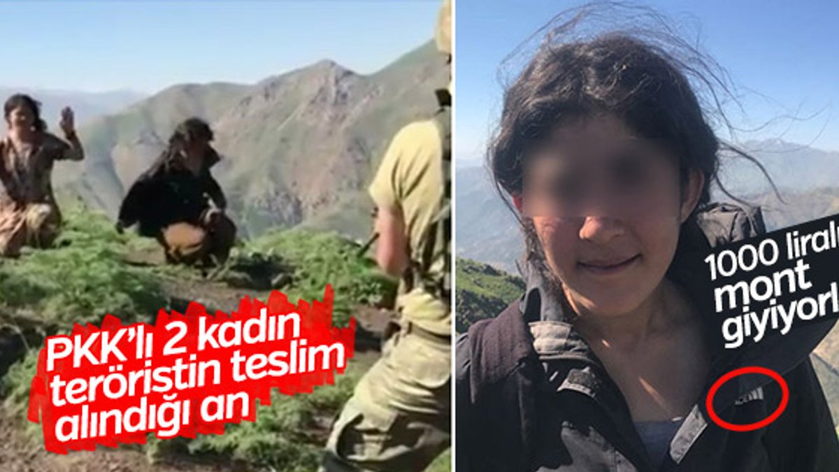 Hakkari'de teslim olan PKK'lıların itirafları