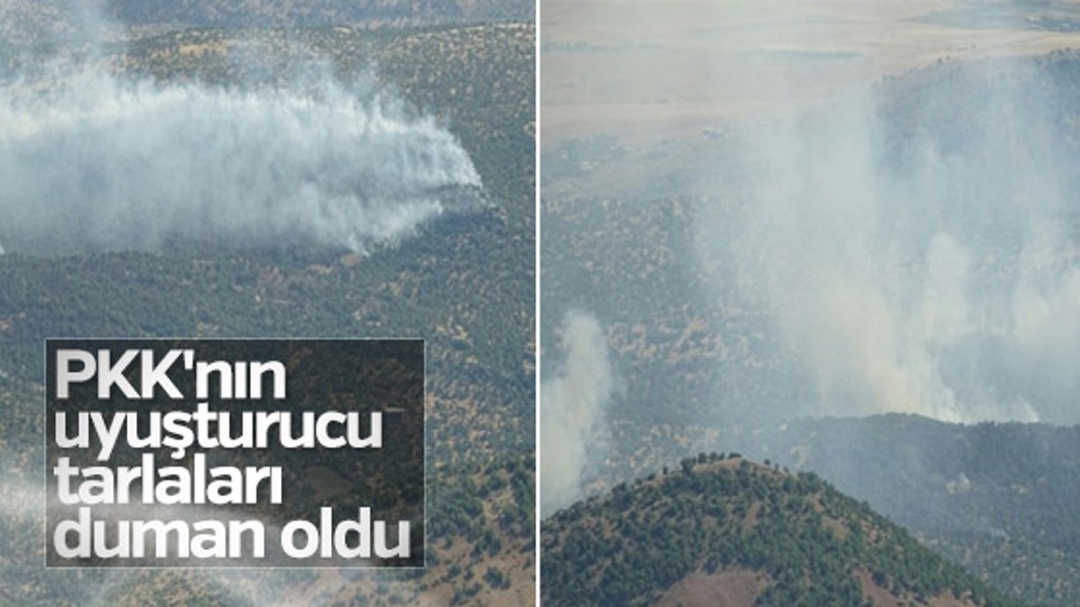 Diyarbakır'da terör örgütü PKK'ya darbe üstüne darbe