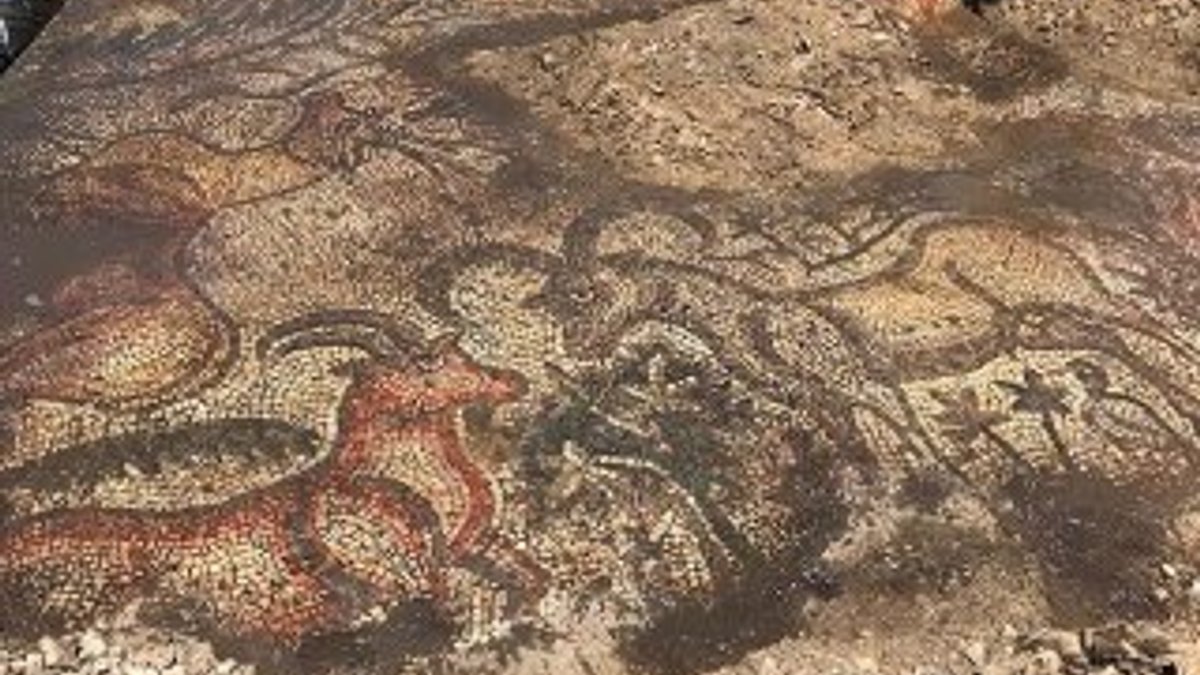 Adıyaman'da 1600 yıllık mozaik bulundu