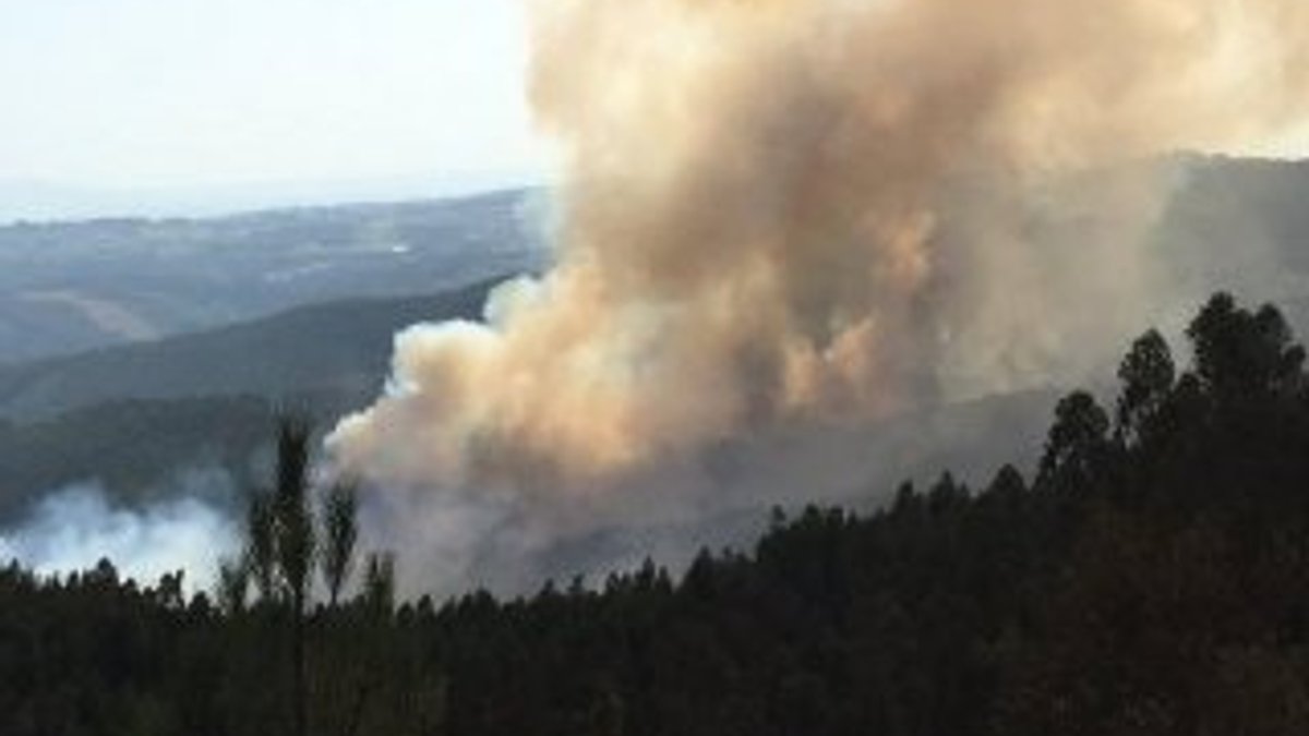 Portekiz’deki yangın 3 gündür devam ediyor