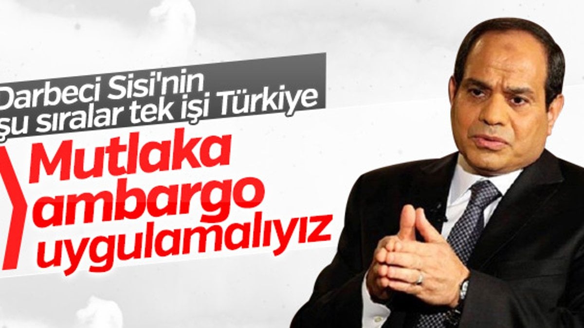 Darbeci Sisi Türkiye'ye ekonomik ambargo istiyor