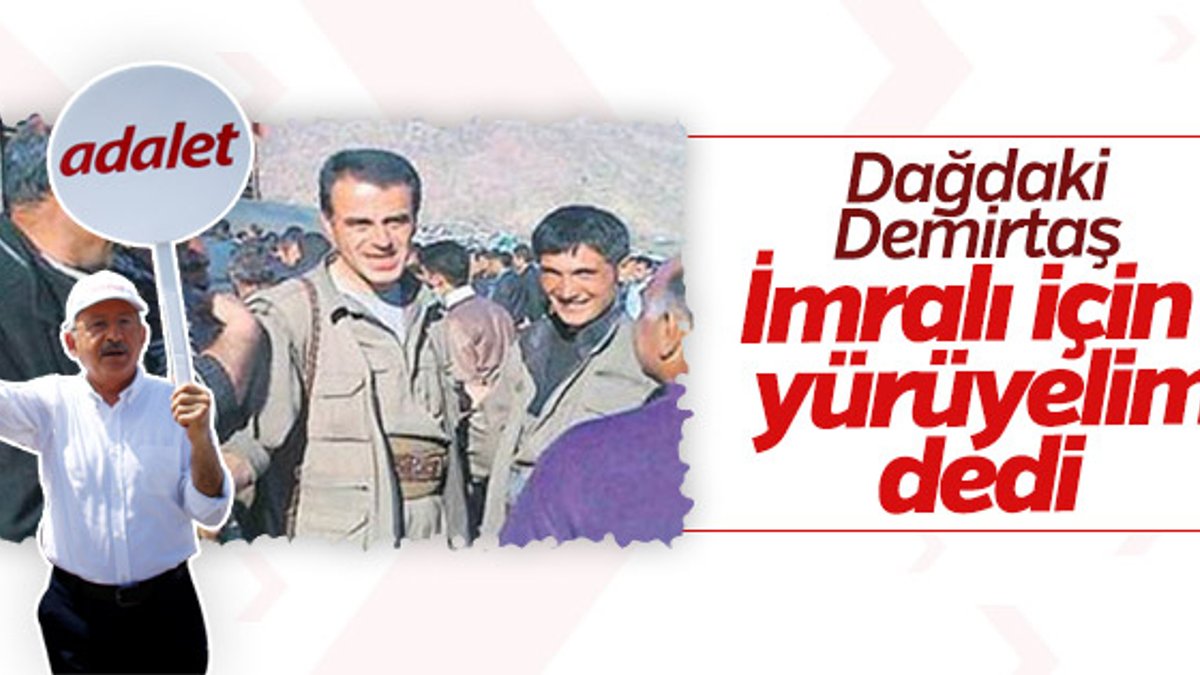 Selahattin Demirtaş'ın ağabeyinden CHP'lilere çağrı