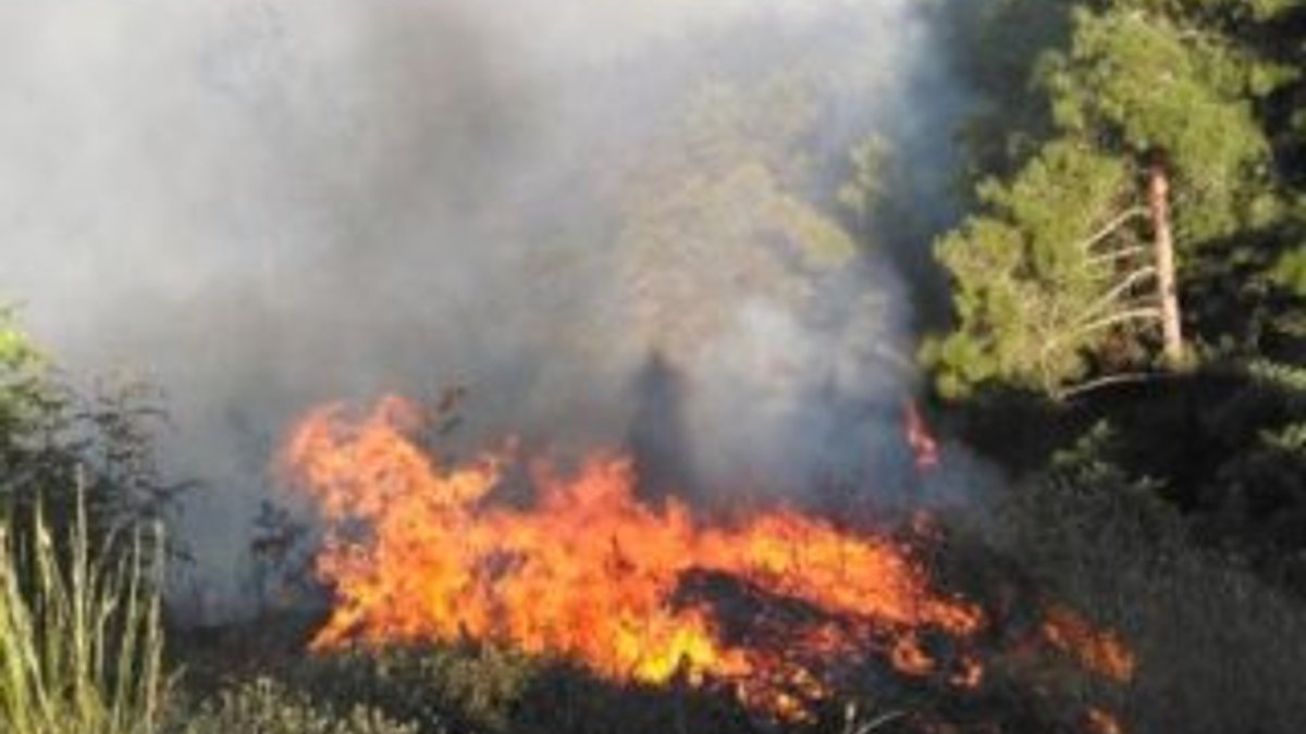Çanakkale'deki yangın ormanlık alana sıçradı