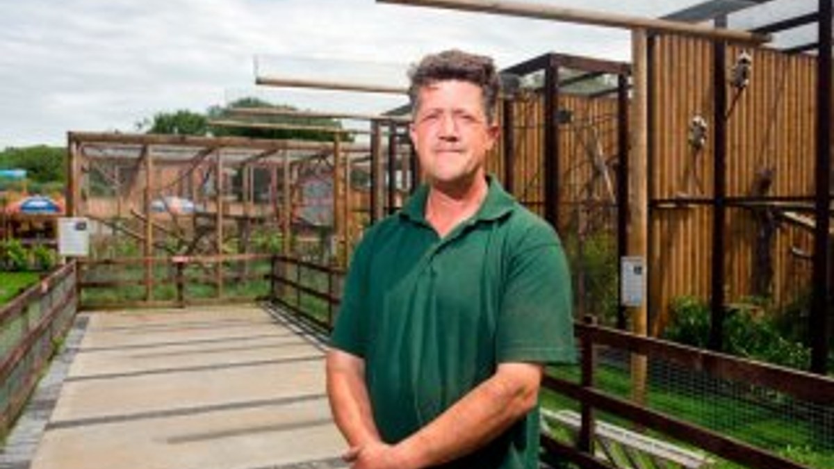 Avustralyalı adamın domuz aşkı hayvanat bahçesi açtırdı