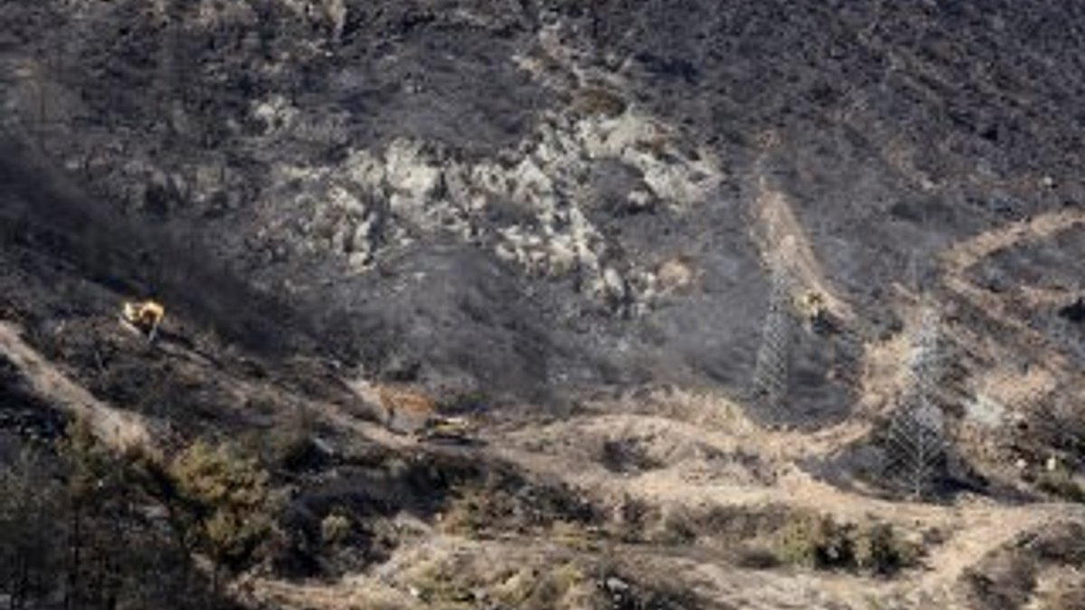 İzmir'deki orman yangınından geriye kalanlar