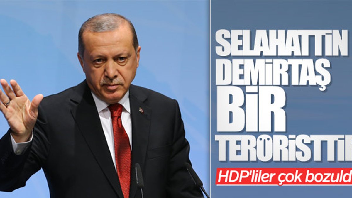 Cumhurbaşkanı Erdoğan'ın Demirtaş'a terörist demesine HDP'den tepki