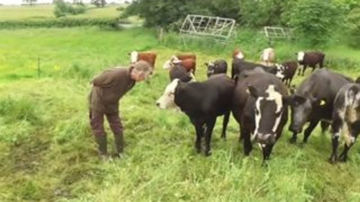Sığır çiftliği bir vejetaryene miras kaldı