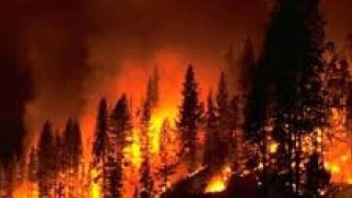 Türkiye'deki orman yangını sayısı