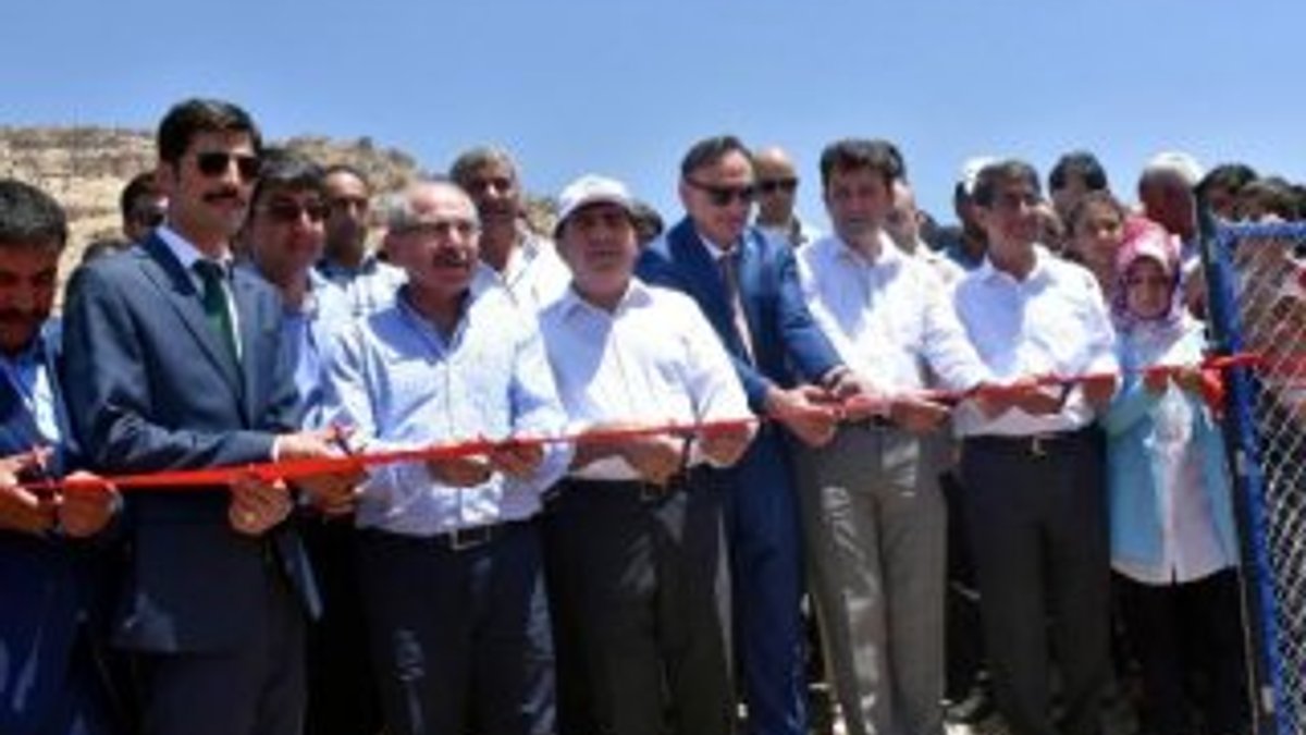 Derik'te zeytin bahçeleri projesinin açılışı yapıldı