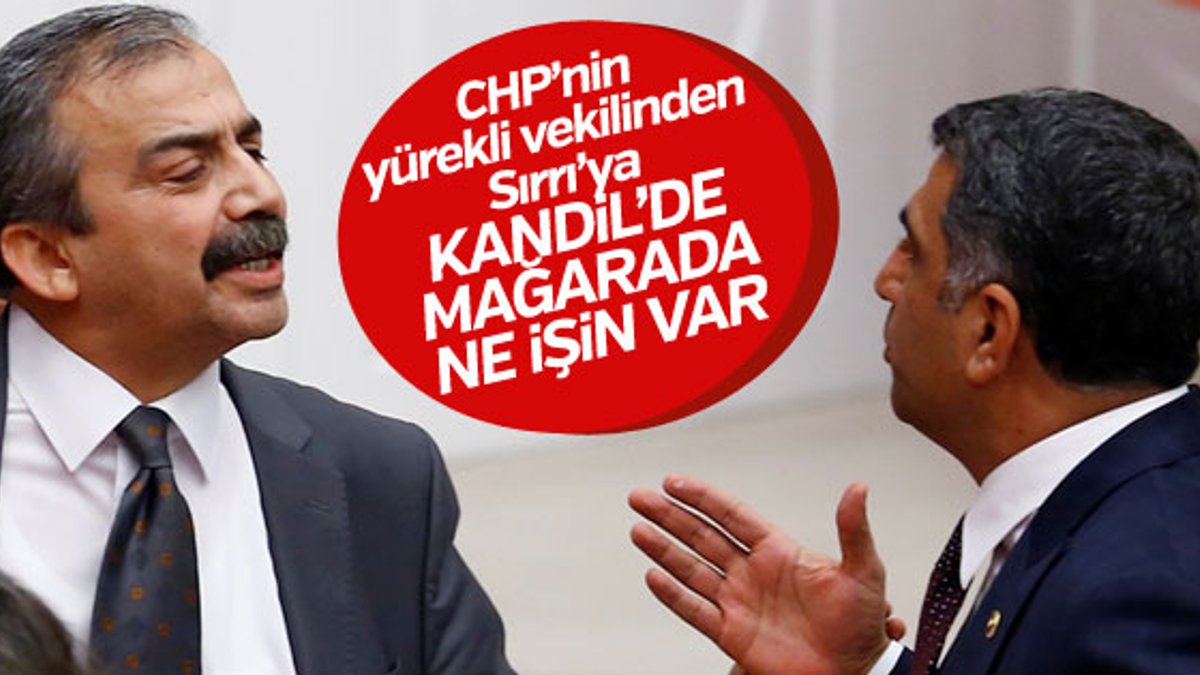 CHP'li Gürsel Erol'dan HDP'li Sırrı Süreyya Önder'e Kandil yanıtı